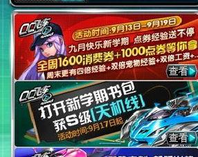 qq飞车礼包车最新爆料,神秘赛车即将亮相，狂欢盛宴即将开启！  第1张