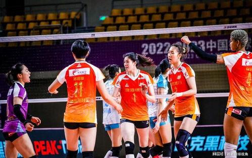 女排队员爆料最新消息视频,最新爆料视频背后的故事  第2张